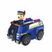 auto paw patrol-1.jpg